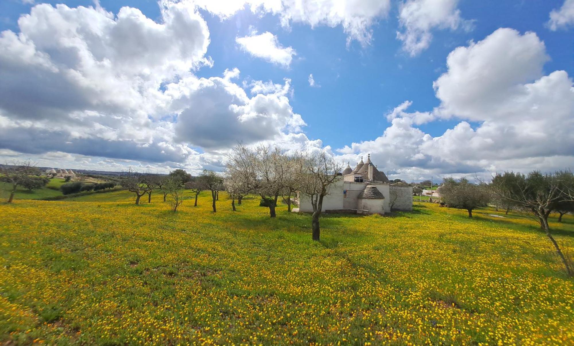 Trulli Carlo Anna Villa Locorotondo Exterior photo